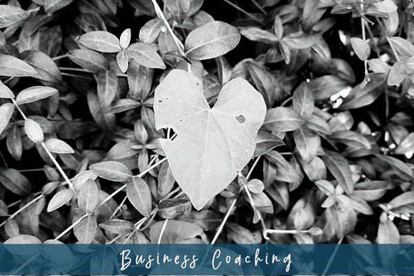 What does a business coach do for new business owners