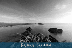 5-Top-Reasons-New-Business-Owners-Hire-A-Business-Coach-When-Starting-A-Business