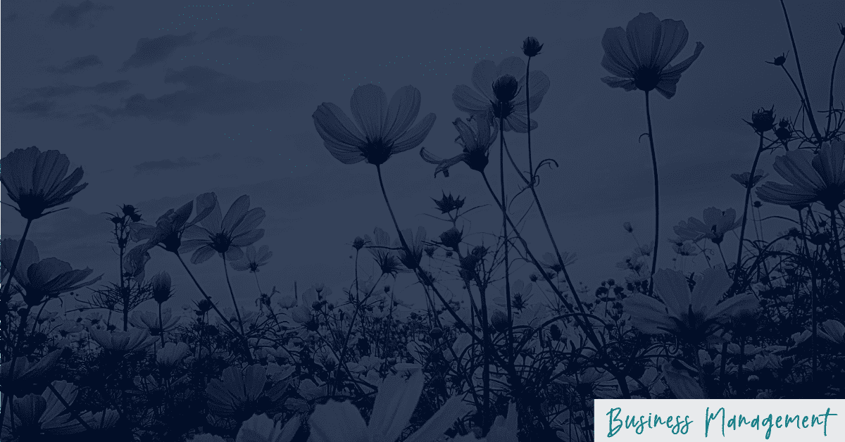 Spring-Clean-Your-Business-Management Spring-Clean-Your-Business-Management