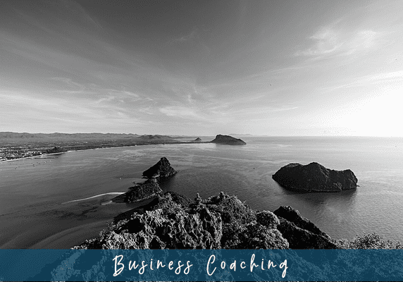 5-Top-Reasons-New-Business-Owners-Hire-A-Business-Coach-When-Starting-A-Business