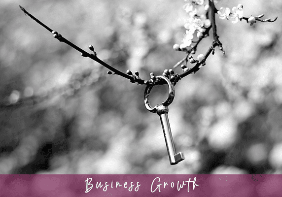 Building-A-Successful-Business